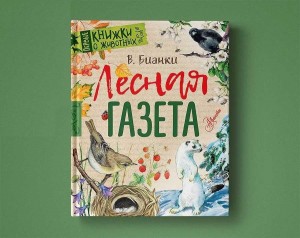 Экологические забавы по творчеству В. Бианки «Лес чудес»