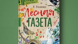 Экологические забавы по творчеству В. Бианки «Лес чудес»