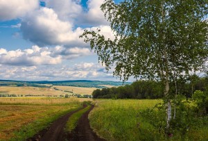 Викторина «Природа– источник вдохновения»