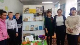 Поэтический экскурс «Все, что волшебно так манило...»