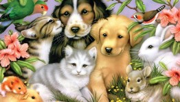 Конкурс рисунков«Мои питомцы»