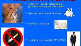 Профилактическая беседа «Опасно курения в подростковом возрасте»