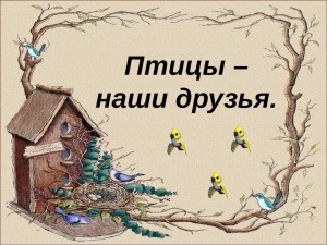 Экологический час «Птицы наши друзья»