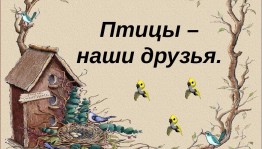 Экологический час «Птицы наши друзья»