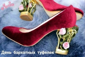 День бархатных туфелек