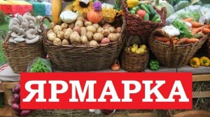 Ярмарка «Дары осени», посвященная ко Дню Республики Башкортостан