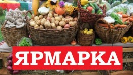Ярмарка «Дары осени», посвященная ко Дню Республики Башкортостан