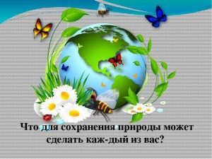 Экологический час «Мы и природа»