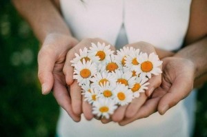 Акция «Дарите ромашки любимым»