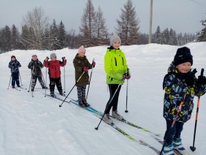 Экскурсия «Путешествие в зимний лес»