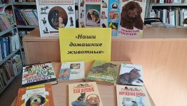 «Наши домашние животные»