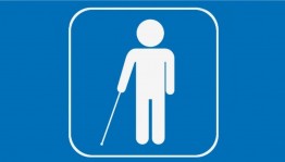 Литературный час «День белой трости»