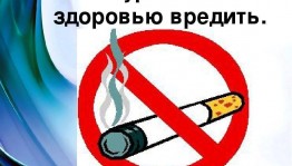 Информационно просветительская программа «Курить – здоровью вредить»