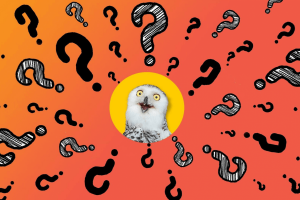 Интеллектуальная игра «Ну что, ответишь?»