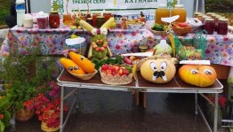 Час полезных советов «Зеленая аптека»