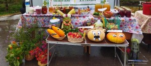 Час полезных советов «Зеленая аптека»