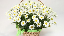 Мастер-класс «Ромашковое настроение»