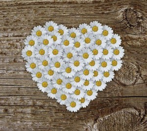 Игровая программа «День семьи, любви и верности»