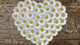 Игровая программа «День семьи, любви и верности»