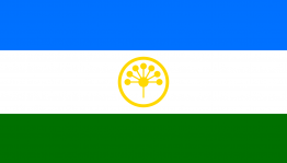 Мастер-класс «Цветок-символ моей Республики»