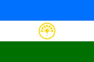 Мастер-класс «Цветок-символ моей Республики»