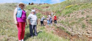 Тематическая программа «Секреты летнего леса»