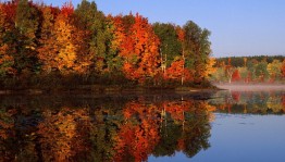 Фотоконкурс «Краски осени»