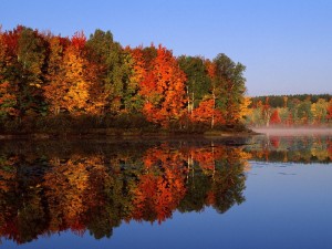 Фотоконкурс «Краски осени»
