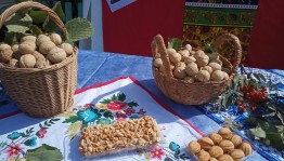 Познавательно–игровая программа«Ореховое раздолье»