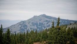 Цветочные мелодии Башкортостана