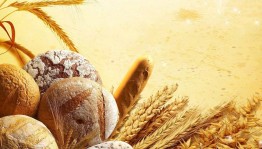 «Хлеб–всему голова!»