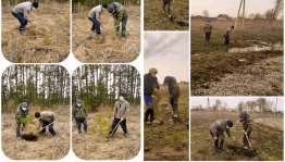 Акция «Всероссийский день посадки леса»