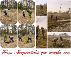 Акция «Всероссийский день посадки леса»