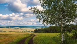 Интеллектуально-познавательный час«Люблю тебя, мой край родной!»