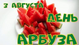 Детская программа «Арбузник»