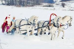 Новогоднее шествие троек по улицам села