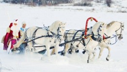 Новогоднее шествие троек по улицам села