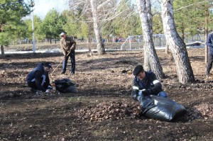 Экологический субботник