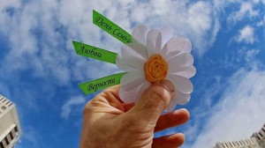 Поздравительная акция «Я дарю тебе ромашку»