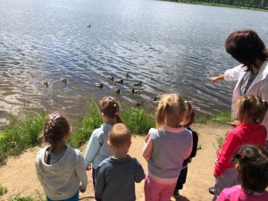 Экскурсия для детей «Путешествие в пруд, полный чудес»