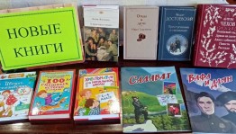Обзор литературы «Знакомьтесь: новые книги»