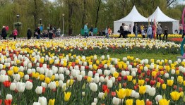 Мероприятие «Праздник цветов»