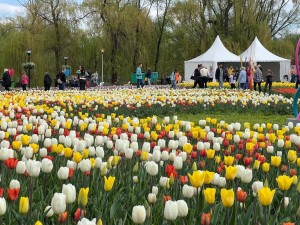 Мероприятие «Праздник цветов»