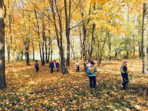 Познавательная прогулка «Экскурсия в осенний лес»