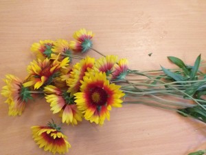 Мастер-класс «Цветочная фантазия»