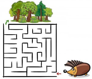 Познавательный час «В лабиринте головоломок».