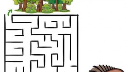 Познавательный час «В лабиринте головоломок».