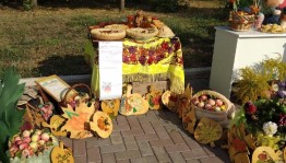 «Медово яблочный Спас»-развлекательная программа