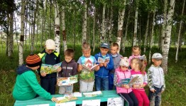 Познавательно-игровая программа «За природу в ответе и взрослые и дети»