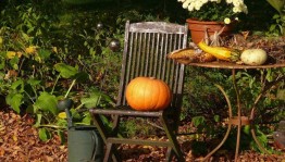 Посиделки садоводов «Вкус осени»